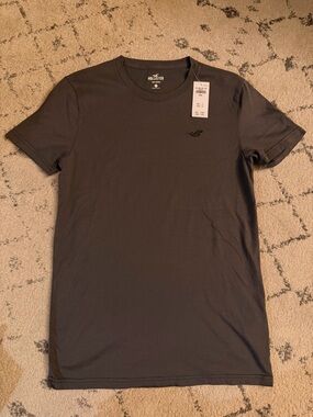 Hollister Men's Short Sleeve Crew T-Shirt - Charcoal Gray